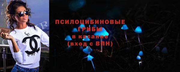 PSILOCYBIN Балахна